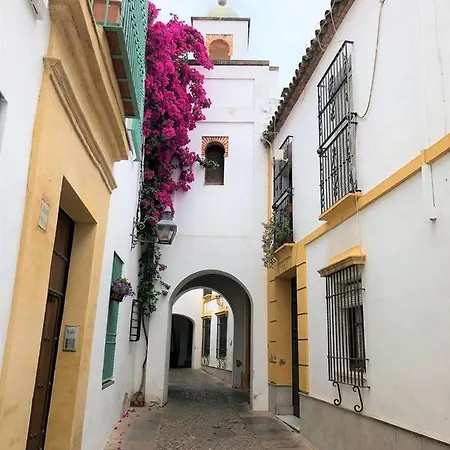 Апартаменти Entre 2 Mezquitas 8 Кордова