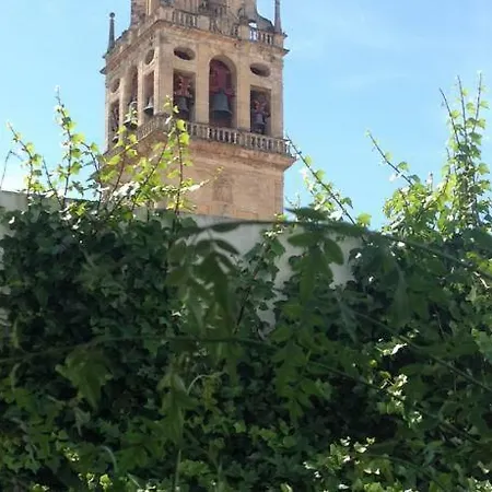 Apartamento Entre 2 Mezquitas 8 Córdoba